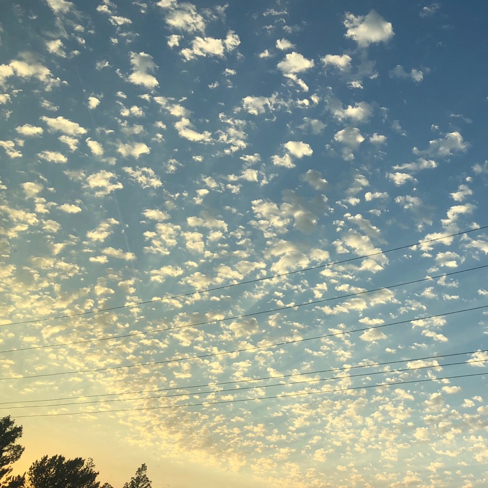 Meet your Posher, Kaitlyn